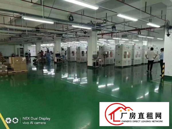  大朗原房东独院标准厂房7000平出租，地坪漆，消防喷淋，豪装