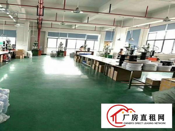  大朗原房东独院标准厂房7000平出租，地坪漆，消防喷淋，豪装