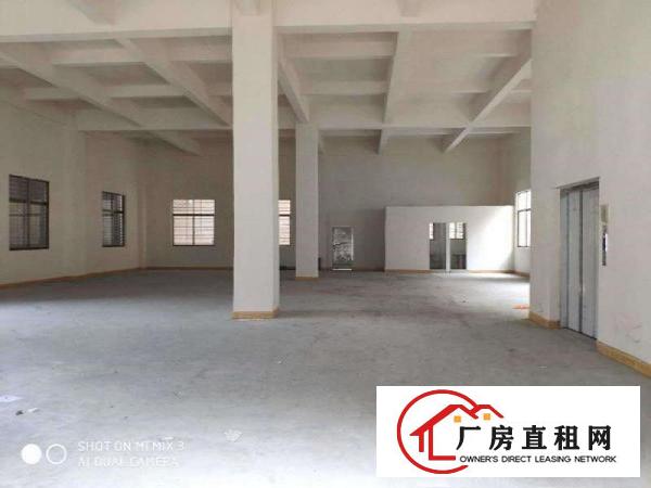  可进大货车大朗原房东一楼330平方厂房出租带现成水电