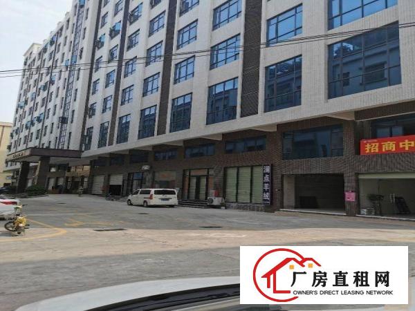  大朗全新高端产业园厂房出租