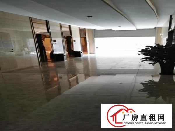  大朗全新高端产业园厂房出租