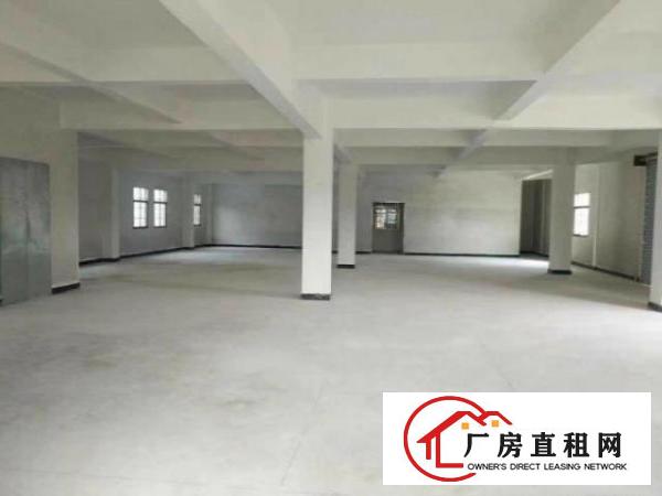  大朗新马莲一楼200平方可做门面仓库小厂房租3000元