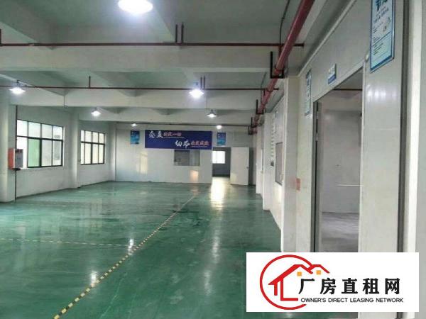  8元包办环评大朗成熟工业园二楼1000平方厂房招租