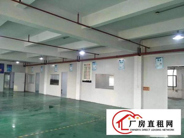  8元包办环评大朗成熟工业园二楼1000平方厂房招租