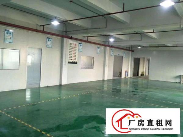  8元包办环评大朗成熟工业园二楼1000平方厂房招租