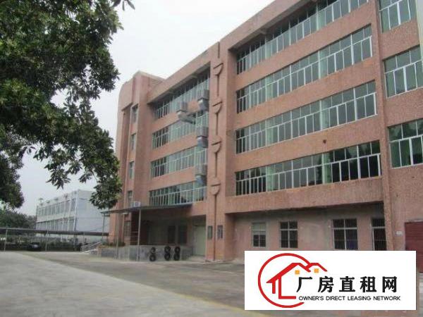  豪华装修办公室大朗黎贝岭广场附近新出二楼3500平