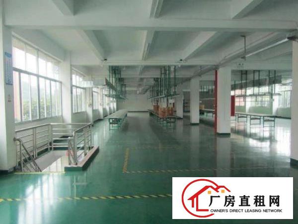  豪华装修办公室大朗黎贝岭广场附近新出二楼3500平