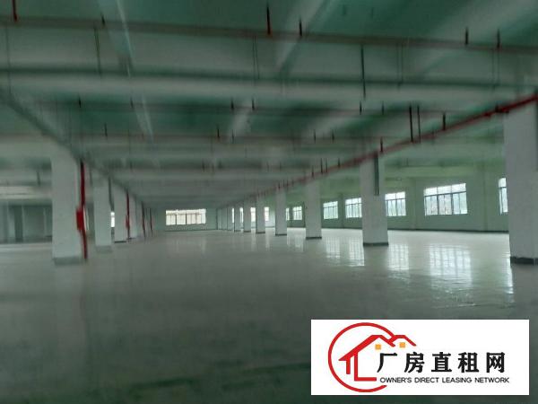  大朗洋乌原房东可办环评12000平方厂房出租可以分租