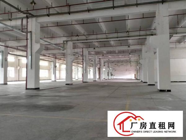 大朗洋乌原房东可办环评12000平方厂房出租可以分租