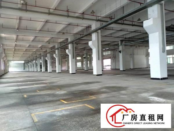  大朗洋乌原房东可办环评12000平方厂房出租可以分租