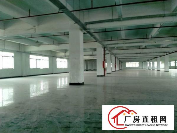  大朗洋乌原房东可办环评12000平方厂房出租可以分租