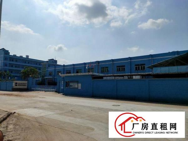  大井头原房东独院厂房总面积6800平方，工业用地可办环评