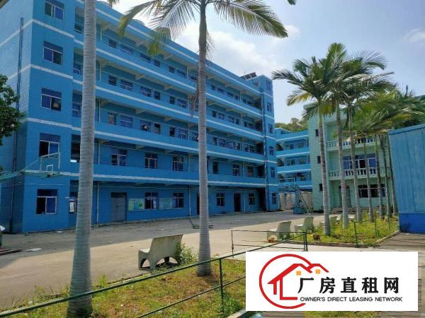  大井头原房东独院厂房总面积6800平方，工业用地可办环评
