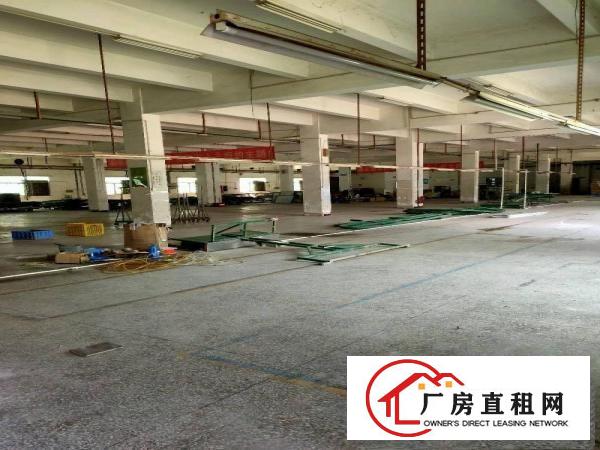  大井头原房东独院厂房总面积6800平方，工业用地可办环评
