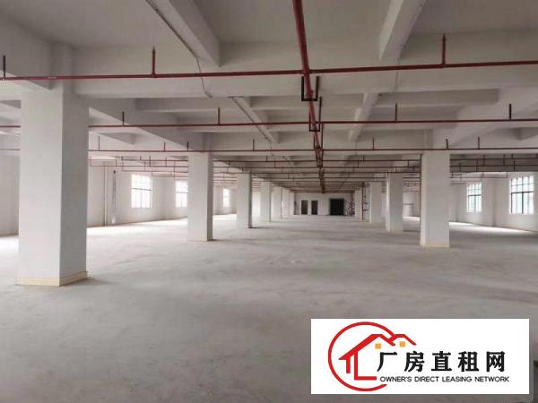  东莞大朗杨涌7000平方全新厂房出租可以分可租办环保