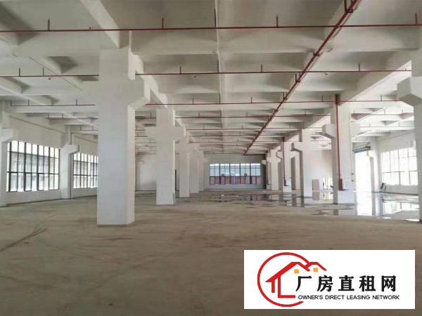  高端产业园一楼和楼上分租每层2000平方大小均可分租有办公室