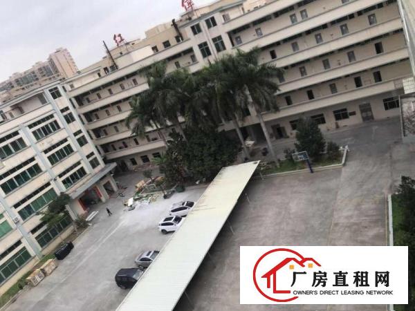  大朗原房东可办环评独院厂房7500平，空地大形象好，水电齐