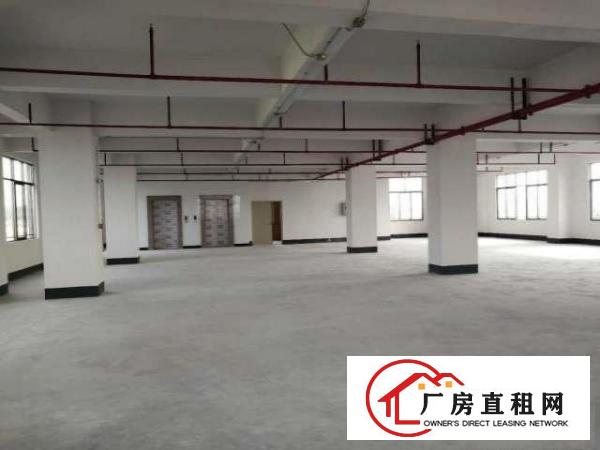  本人厂房大朗求富路独院2500平方厂房无公摊价格低