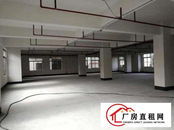  本人厂房大朗求富路独院2500平方厂房无公摊价格低