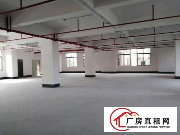  本人厂房大朗求富路独院2500平方厂房无公摊价格低