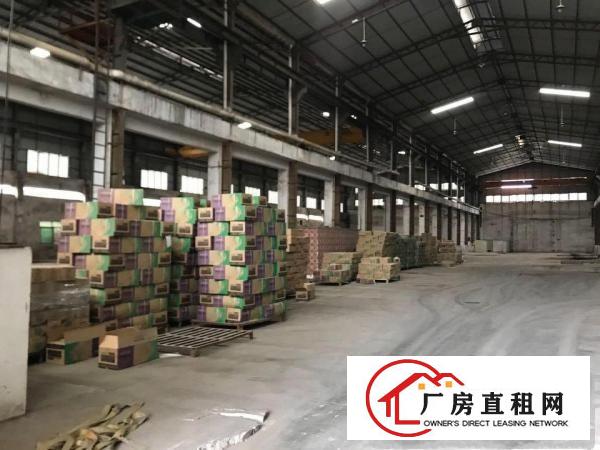  单一层钢构厂房8200平，大朗洋乌（原房东）独院厂房，可分租