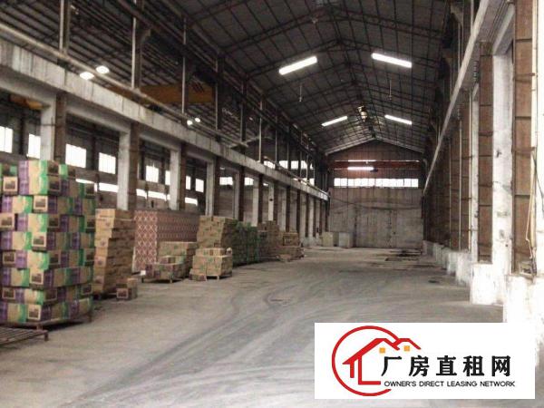  单一层钢构厂房8200平，大朗洋乌（原房东）独院厂房，可分租