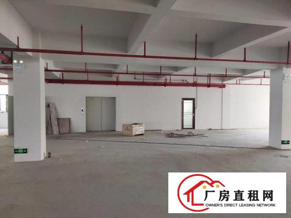 带装修急租大朗沙步一楼1500平方厂房大小可分租