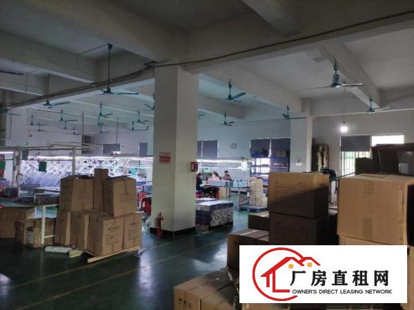  带地坪漆精装修,3楼1280平,大朗洋乌工业园标准厂房可分租