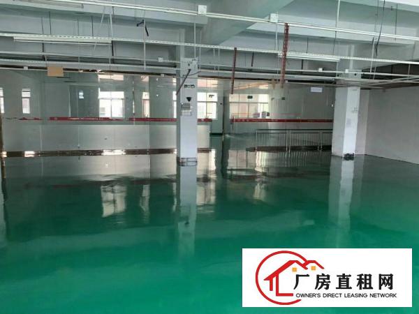  大朗镇佛新工业区一二楼每层800平厂房出租，有装修