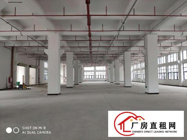  大朗新出工业区800平起租，带环评全新工业区厂房，高7米