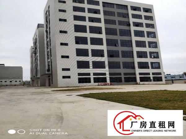  大朗新出工业区800平起租，带环评全新工业区厂房，高7米