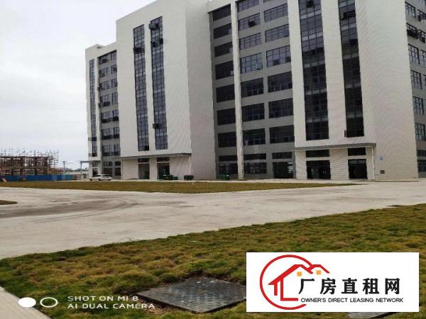  大朗新出工业区800平起租，带环评全新工业区厂房，高7米