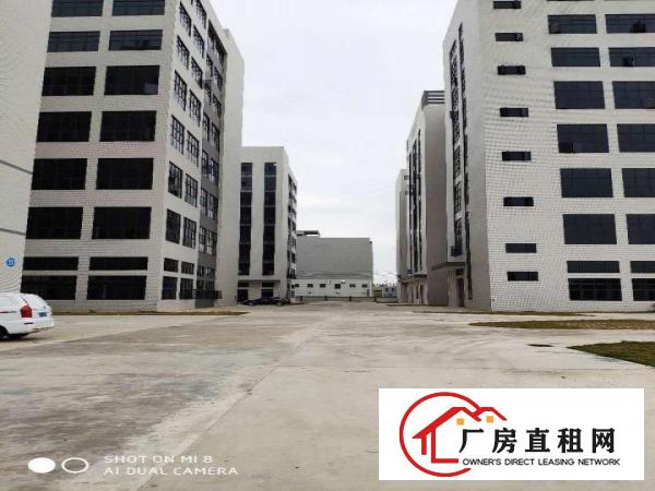  大朗新出工业区800平起租，带环评全新工业区厂房，高7米