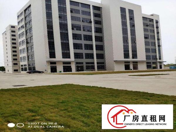  大朗新出工业区800平起租，带环评全新工业区厂房，高7米