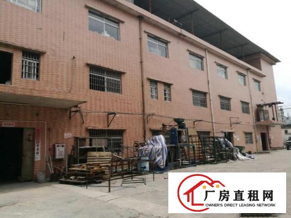  大朗水口新出标准厂房一楼1000方，可办环评价格15元