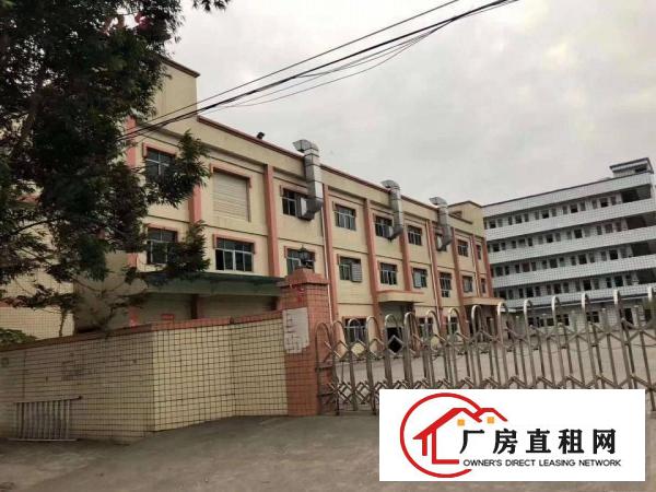  大朗水口工业区一楼厂房550880平两套出租，水电齐全