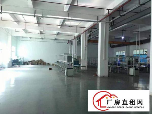  大朗水口工业区一楼厂房550880平两套出租，水电齐全