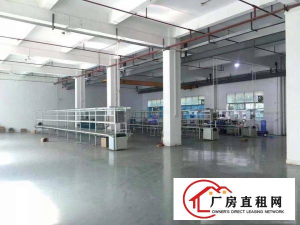  大朗水口工业区一楼厂房550880平两套出租，水电齐全