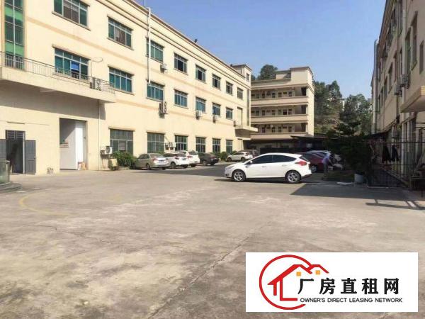  大朗水口工业区一楼厂房550880平两套出租，水电齐全