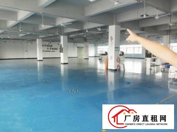  自己的厂房有意来电大朗黄草朗楼上600平方带装修