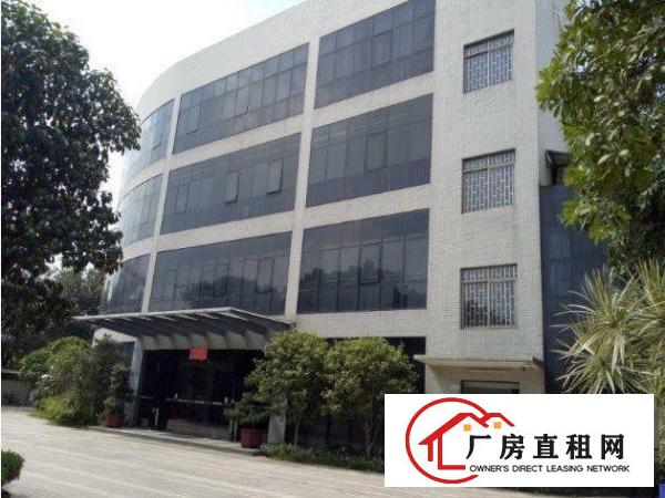  大朗体育馆附近工业园楼上带精装修办公1400平
