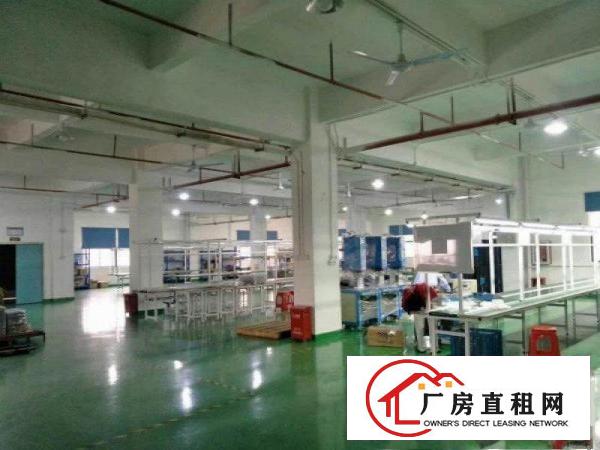  大朗体育馆附近工业园楼上带精装修办公1400平
