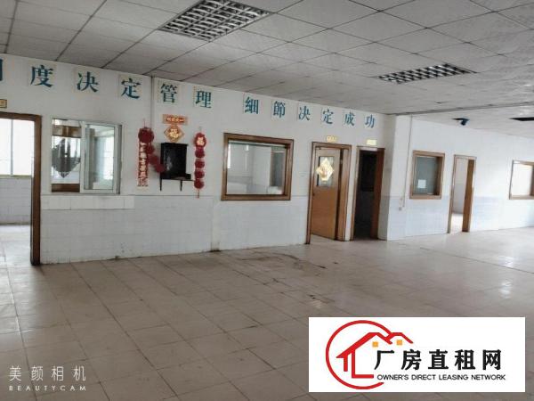  独门独院成熟工业区标准厂房