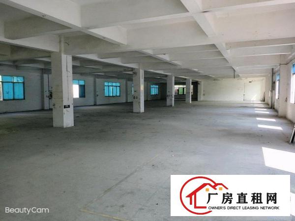  独门独院靠大路边厂房出租