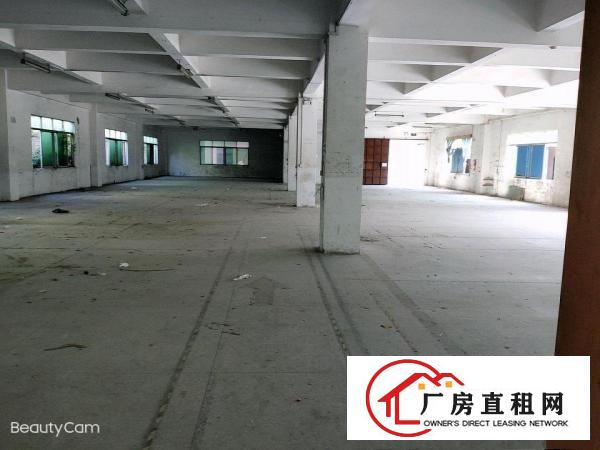  独门独院靠大路边厂房出租