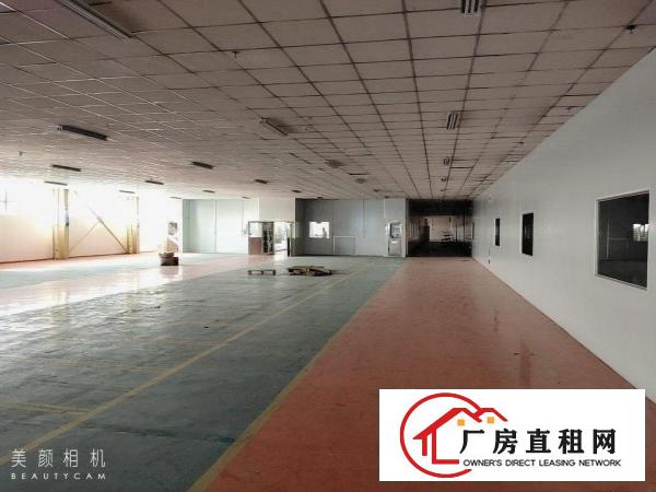  独门独院靠大路边厂房出租