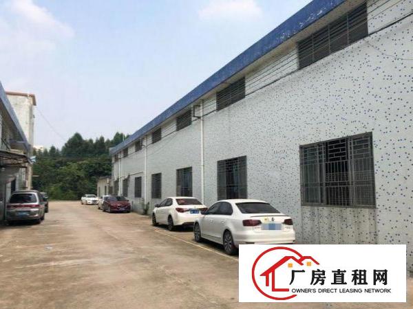  长龙形象好！砖墙到顶！简易500厂房出租证照齐