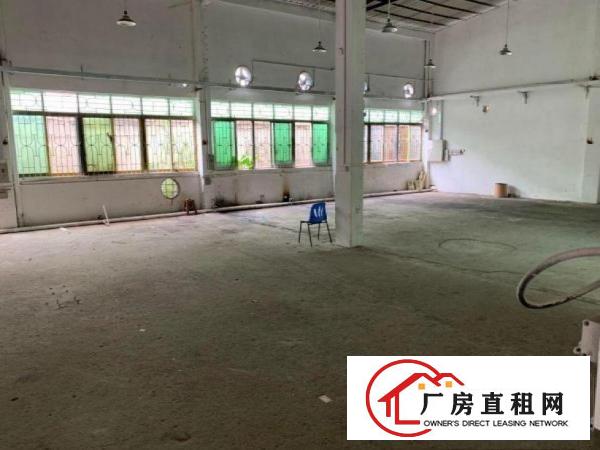  黄江鸡啼岗500平方单一层小独栋铁皮房出租