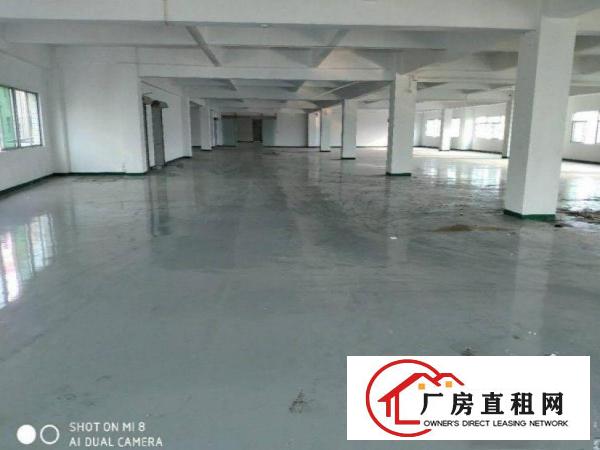  黄江北岸空出200平方带装修厂房出租，全新地坪漆