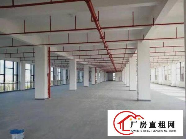  鸡啼岗工业区环评已办，2000平厂房出租带2吨电梯